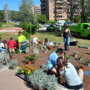 Fomentem l’educació ambiental amb projectes escolars arrelats al territori