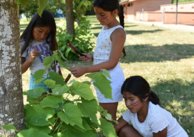Activitats de natura a les colònies d'estiu