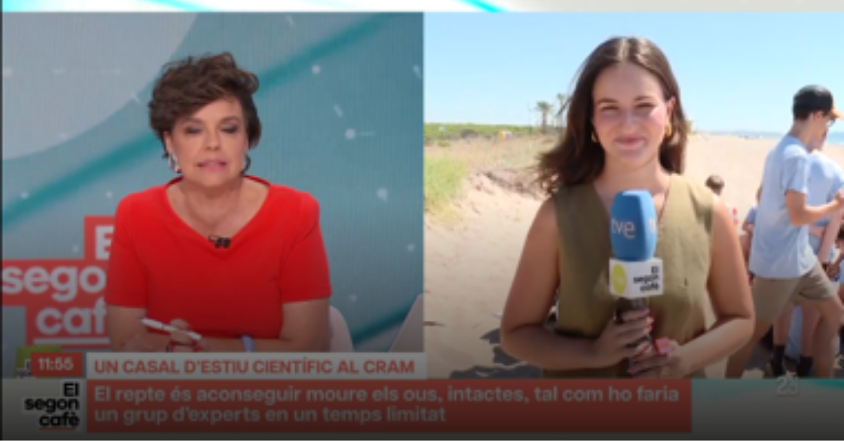 Festa dels casals de Fundesplai a la premsa del baix