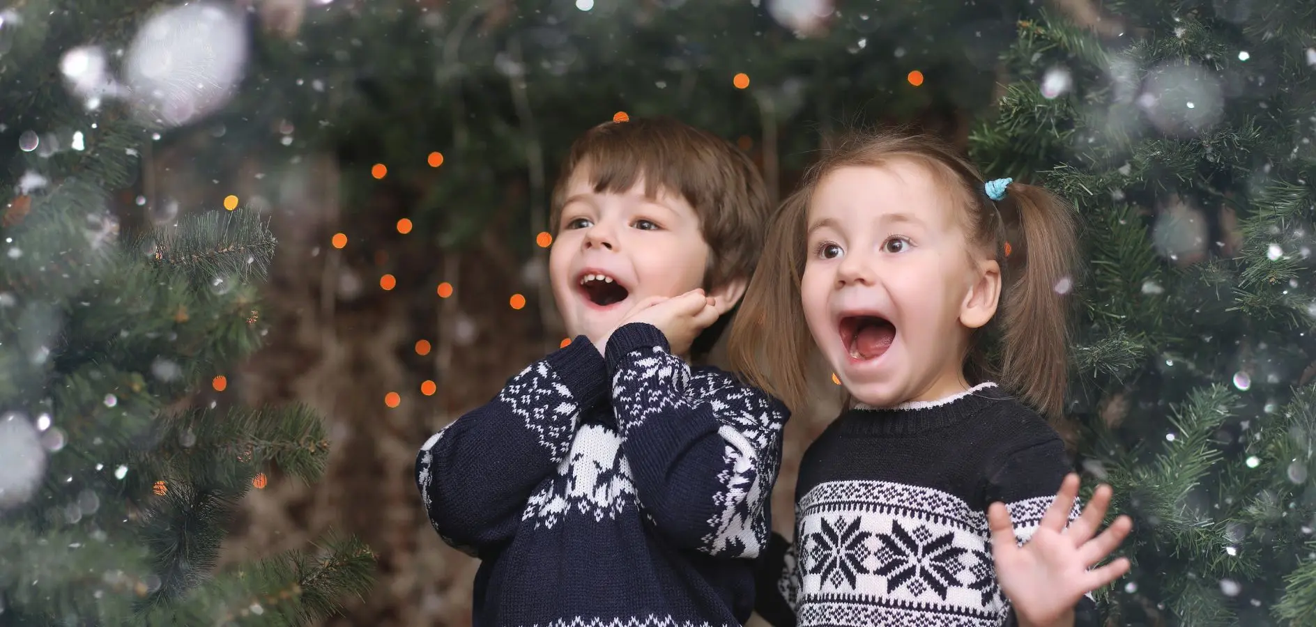 Dia de Nadal a les cases de colònies!