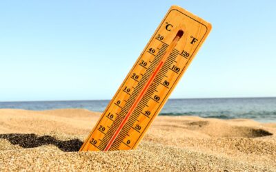 Com han d’actuar les entitats davant les onades de calor?