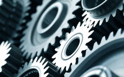 Descobreix el nou servei d’implementació de CREA ERP per a entitats